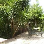 Vatican Garden